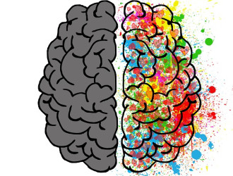 brain 2062049 640