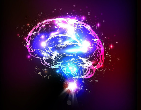 brain 5966091 1280