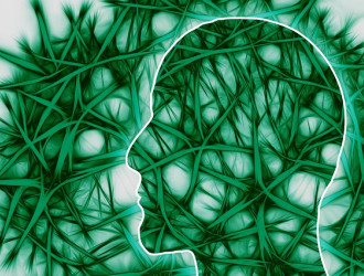 20 Ilda neural pathways 221718 640