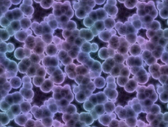 22 Body 8 Bacteria