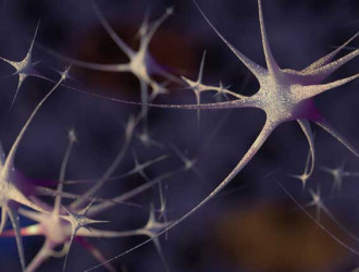 Trastornos psiquiatricos genetica compartida