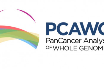 Proyecto PAN-CÁNCER